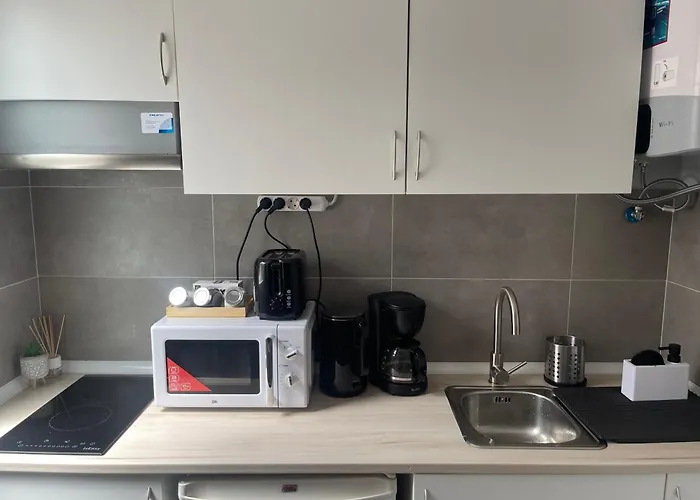 Cenral Renovated Flat
